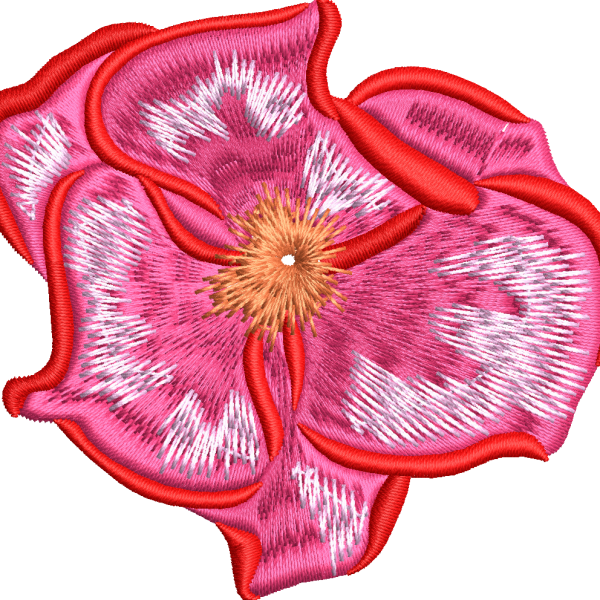 Rose 2f