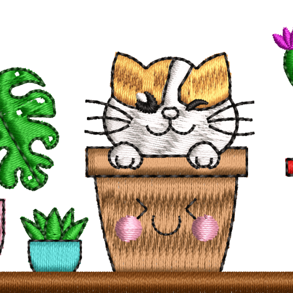 Cat flowers in a 10f flower pot