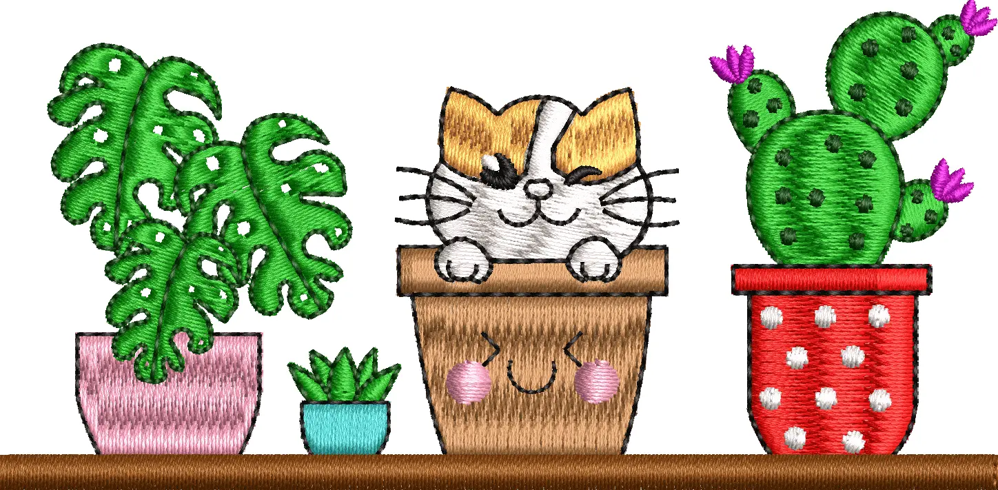 Cat flowers in a 10f flower pot