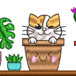 Cat flowers in a 10f flower pot