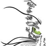 Cat 7f