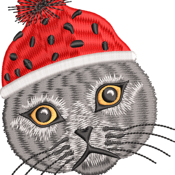 The cat is wearing an 8f hat
