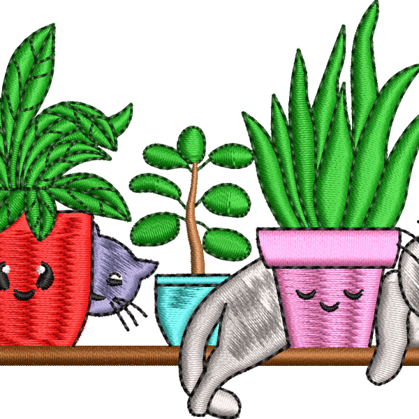 Cat flowers in a 9f flower pot