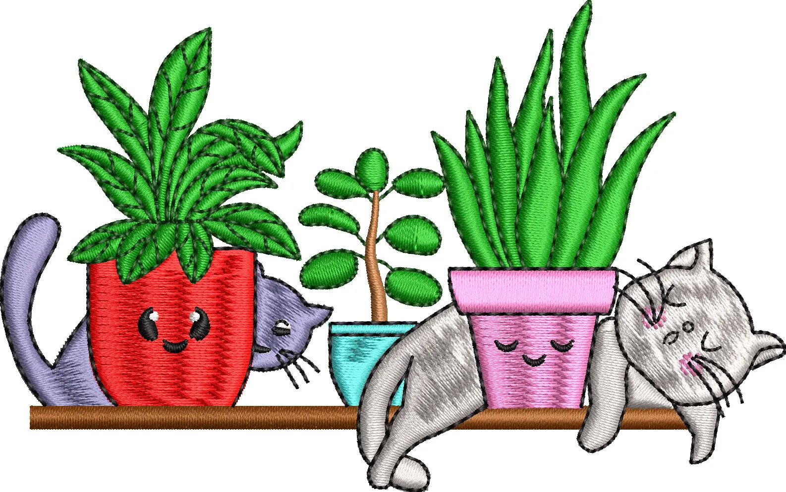 Cat flowers in a 9f flower pot