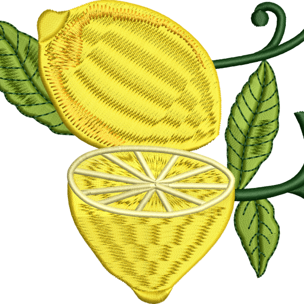 Limon 6f yarım