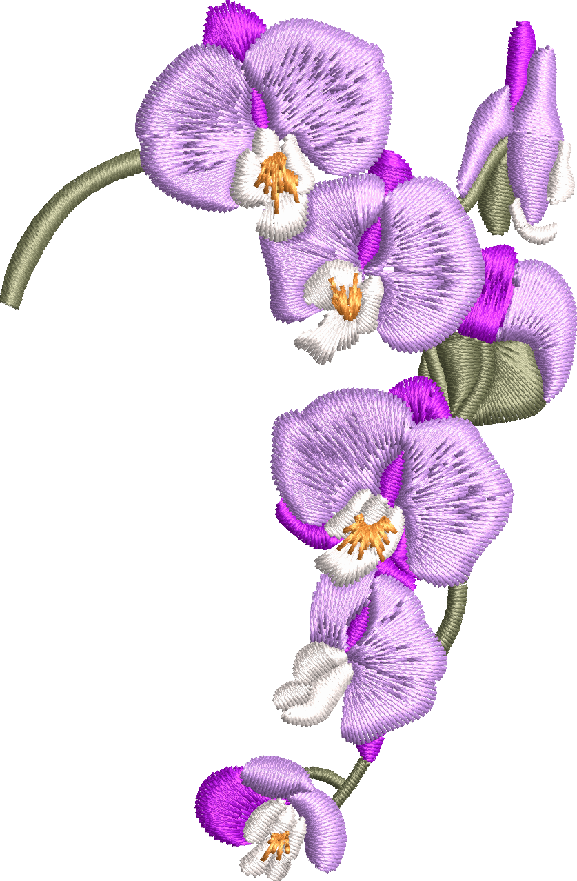 Orchid 2f purple