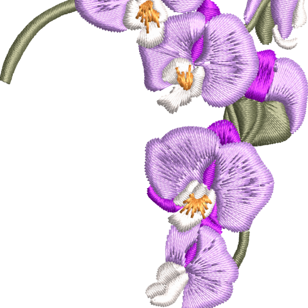 Orchid 2f purple