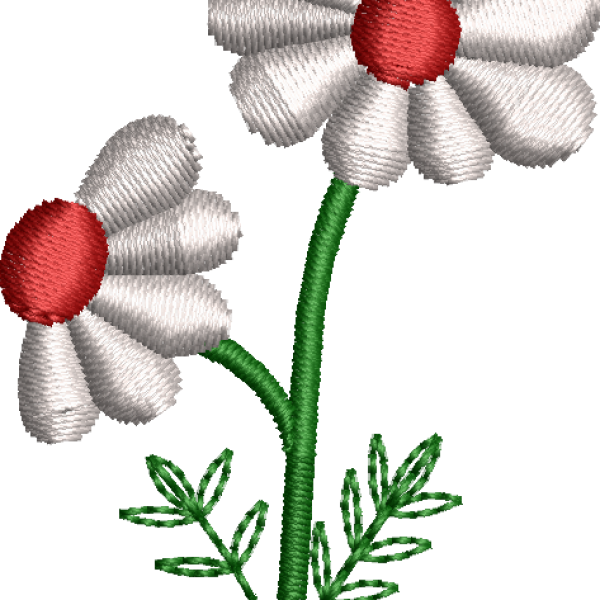 Daisy flower embroidery design