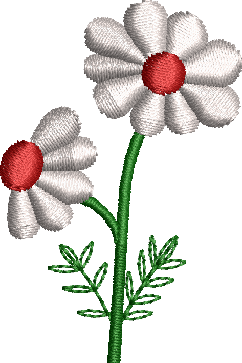 Daisy flower embroidery design