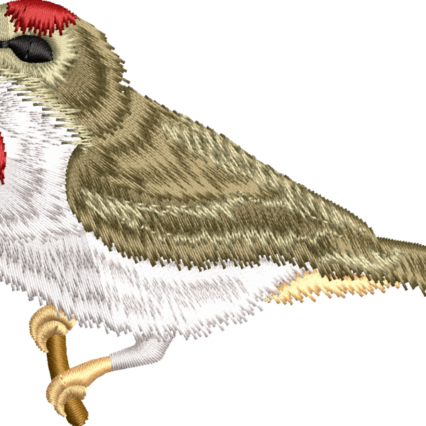 Sparrow 5f