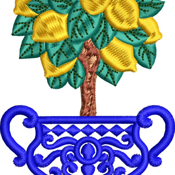Vazo 81f limon ağacı