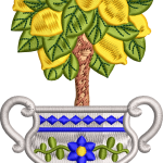 Vazo 84f limon ağacı