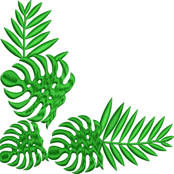 Leaf 10f bamboo monstera