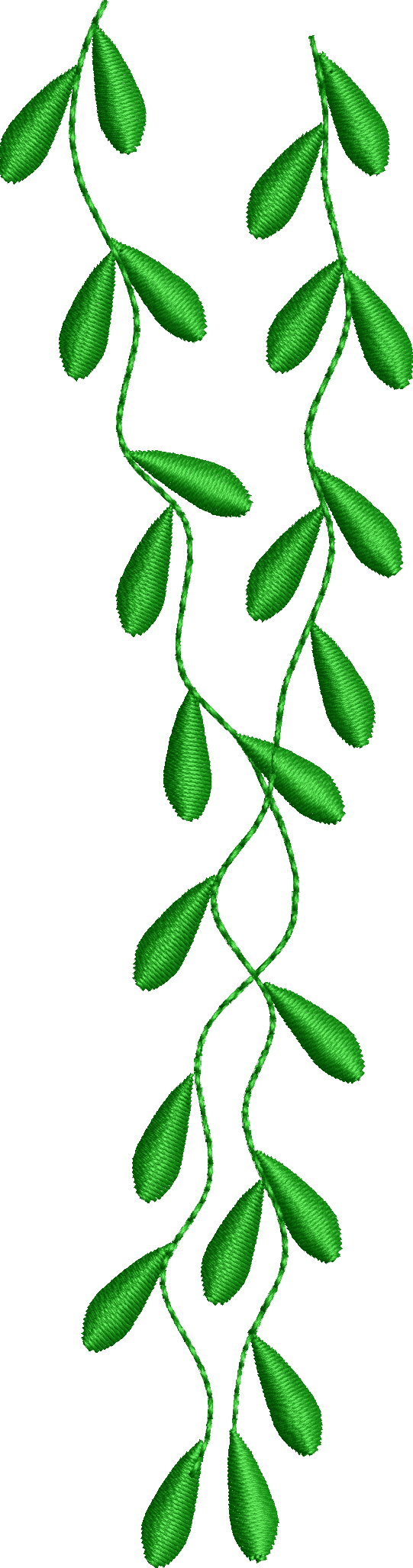 Leaf 27f ivy
