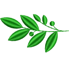 Leafy branch embroidery design