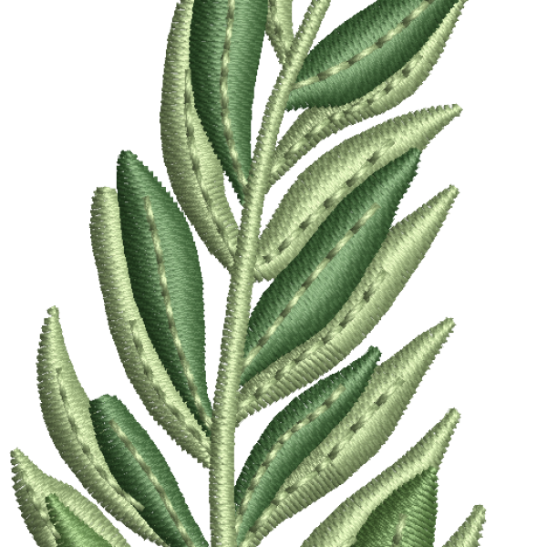 Olive branch leaf embroidery design 32f