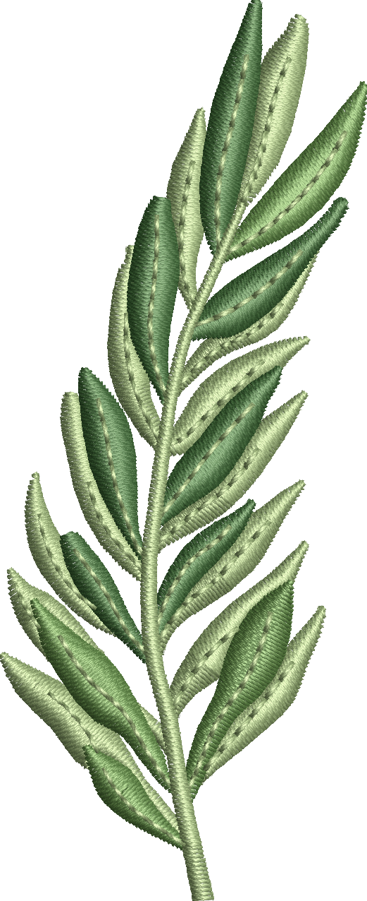 Olive branch leaf embroidery design 32f