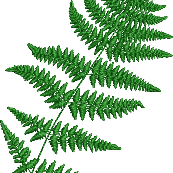 Fern leaf embroidery design 33f