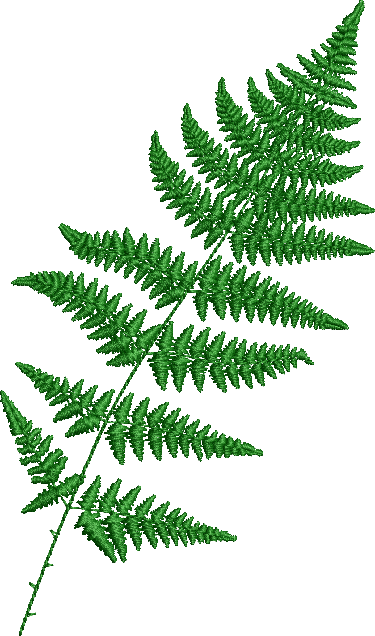 Fern leaf embroidery design 33f
