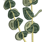 Leaf embroidery design 34f