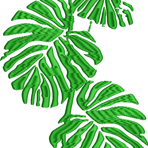 Leaf 9f monstera