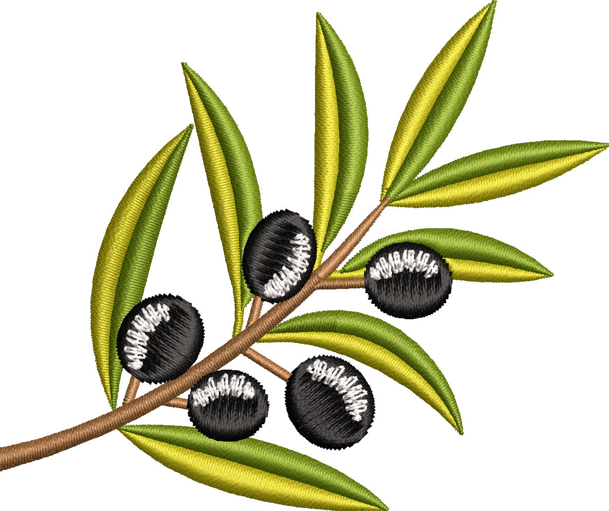 Zeytin 2f zeytin dalı