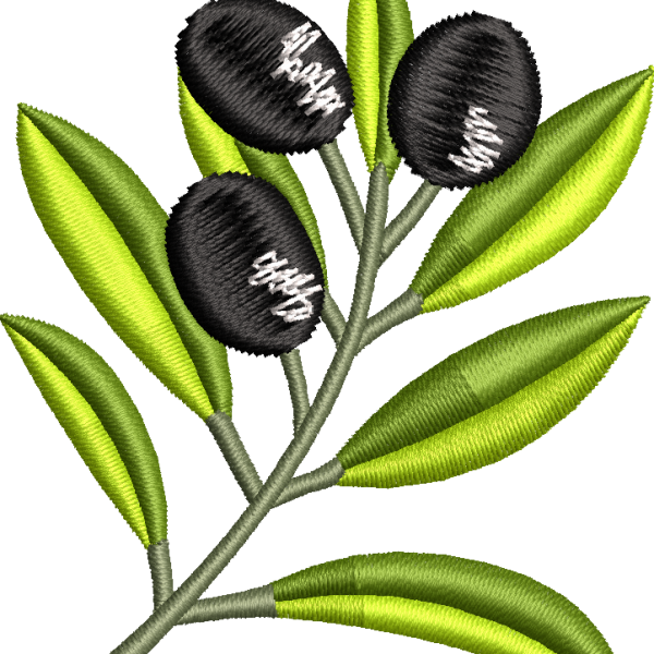Zeytin 3f dal